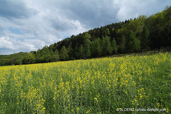 agriculture